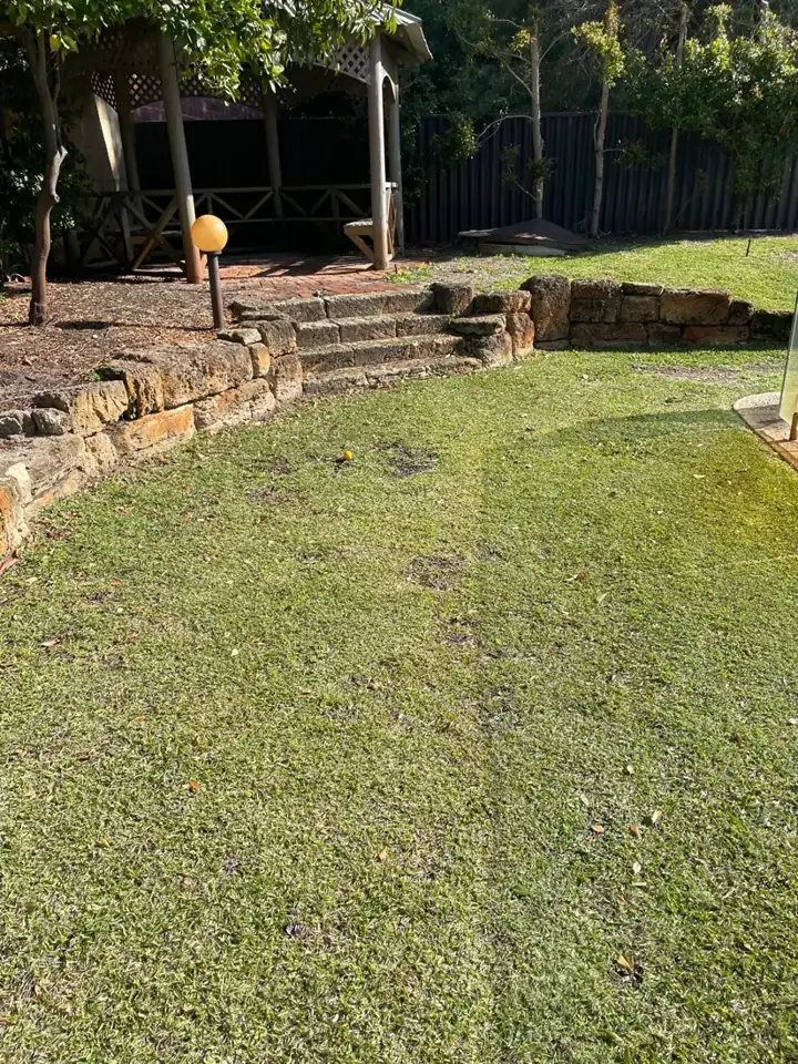 Old sandstone wall and lawn before works