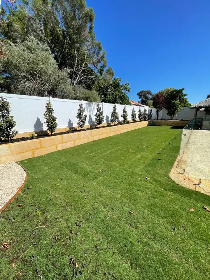 Finished lawn along the new white boundary fence